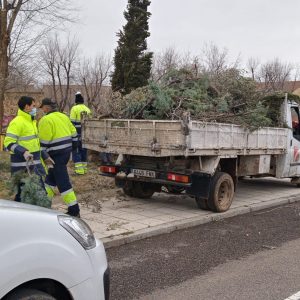 l Ayuntamiento continúa el fin de semana con las labores de retirada de ramas caídas en la vía pública tras el temporal