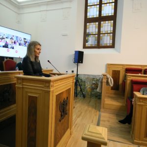 a alcaldesa destaca la ingente labor de los medios humanos y materiales que se activaron para paliar los efectos de ‘Filomena’