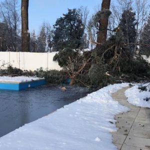 l Ayuntamiento estima en 1,5 millones de euros los daños de la borrasca ‘Filomena’ en las instalaciones deportivas municipales