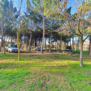 l Ayuntamiento reabre hoy el parque de las Tres Culturas y las zonas infantiles lo harán el lunes al igual que los ‘Street WorkOut’