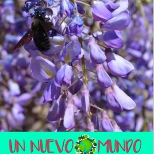 UN NUEVO MUNDO – Taller familiar