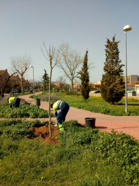 PARQUE DE LOS ALCAZARES