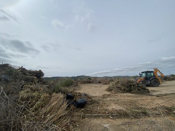 Triturado de residuos vegetales (4)