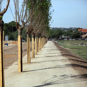 a alcaldesa valora el premio de la Bienal Española de Arquitectura y Urbanismo a la Senda de las Moreras de Vega Baja