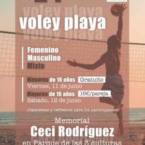 erca de 90 deportistas se disputan en Toledo los días 11 y 12 de junio el 24º Torneo de Vóley Playa con apoyo municipal