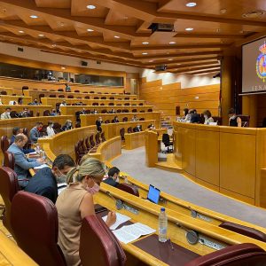 ilagros Tolón asiste en el Senado al Pleno de la Comisión Nacional de la Administración Local presidido por el ministro Miquel Iceta