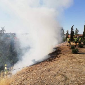 os bomberos de Toledo sofocan un nuevo incendio registrado en el Parque de la Vega en la tarde de este lunes