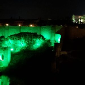 luminación especial por las enfermedades mitocondriales y el Encuentro estatal de personas con discapacidad intelectual