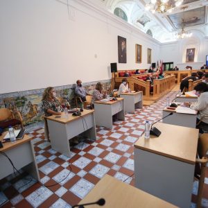 l Pleno del Ayuntamiento aprueba una declaración institucional de apoyo y solidaridad con la isla de La Palma