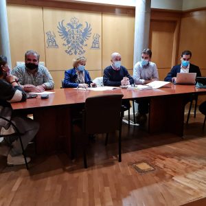 l Gobierno local informa de la planificación de la obra de Reyes Católicos en el Consejo de Participación del Casco Histórico