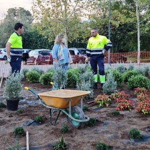 vanza la mejora paisajística de la rotonda de Sabatini con la plantación de arbustos y la instalación del sistema de riego