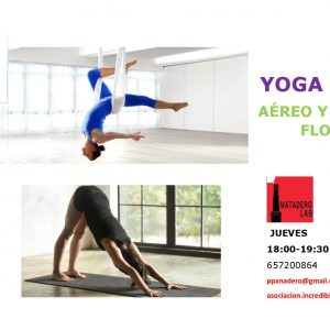 Yoga Dúo: Aéreo y Hatha Flow