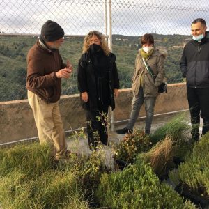 l Ayuntamiento colabora en el proyecto de restauración ambiental de rodaderos impulsado por Cáritas Diocesana