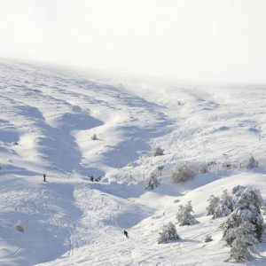 Jornada de Iniciación al Esquí/Snowboard