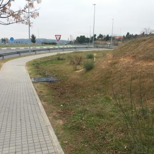 l Consistorio toledano realiza actuaciones de desbroce y limpieza en la avenida del Madroño