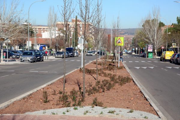 ajardinamiento_guadarrama_2