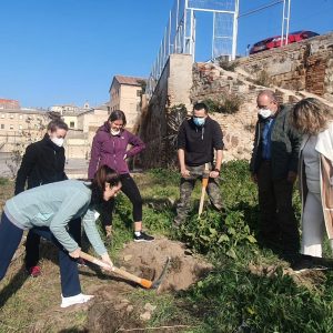 ontinúa el proyecto de recuperación ambiental de los rodaderos del Seminario Mayor con la colaboración del Ayuntamiento