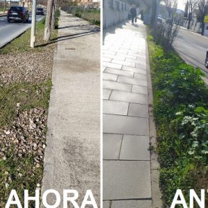 perarios del Plan de Empleo realizan la limpieza del entorno medioambiental en la Avenida Más del Ribero