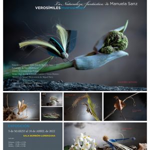 Inauguración de la Exposición Verosímiles, inverosímiles: la naturaleza fantástica de Manuela Sanz