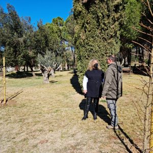 a plantación de nuevos árboles continúa esta semana en el Parque de las Tres Culturas y otros espacios y calles de la ciudad