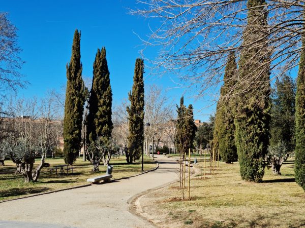 Tres Culturas_nuevos árboles_7