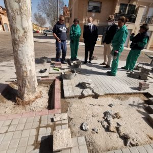 l Ayuntamiento restaura los alcorques de la calle Azucena, en Azucaica, y adecenta las zonas verdes de la calle Alegría