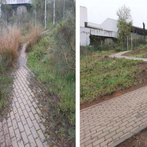 ontinúan las labores de desbroce y limpieza de espacios urbanos como las calles Dinamarca y París o el aparcamiento de Santa Teresa