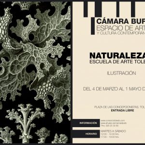 ESCUELA DE ARTES DE TOLEDO. EXPOSICIÓN DE ILUSTRACIÓN “NATURALEZAS”