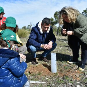 l Ayuntamiento y Unicaja llevan a cabo plantaciones en la zona forestal urbana de Fuente del Moro