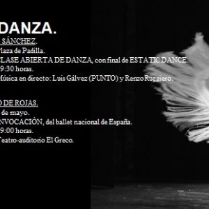 Día internacional de la danza, IES de Toledo