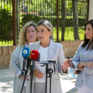 a alcaldesa conoce la mejora de la iluminación urbana de Palomarejos como apuesta por el ahorro y la sostenibilidad