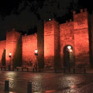 oledo iluminará mañana espacios emblemáticos de la ciudad en naranja con motivo de la celebración del Día Nacional de la Epilepsia