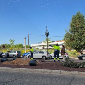 omienzan los trabajos de mejora y ajardinamiento de la avenida Río Estenilla con la plantación de 50 árboles y 1.150 arbustos