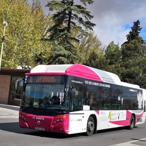 l Ayuntamiento habilita un servicio especial de buses hasta la Peraleda y modifica puntualmente el recorrido por La Vega