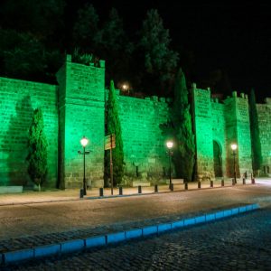 l Ayuntamiento iluminará este jueves en color verde espacios destacados de la ciudad con motivo del Día Mundial de la Miastenia