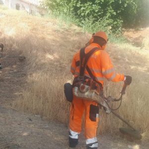 l Ayuntamiento recuerda que los propietarios deben mantener limpias las parcelas por salubridad y prevención de incendios