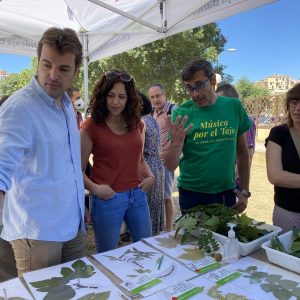 l Ayuntamiento celebra la respuesta de los toledanos en las jornadas del río Tajo porque “no aguanta ni un minuto más”