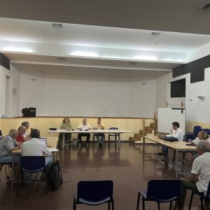 l Consejo de Participación del Distrito Centro aprueba dotar de mobiliario urbano San Pedro el Verde y remodelar la sede de Azumel