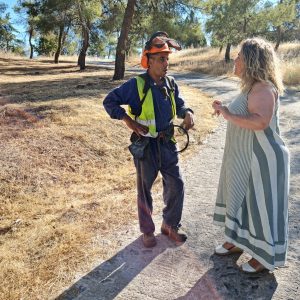 os trabajos de desbroce llegan al entorno de La Bastida con el fin de disminuir el riesgo de incendios debido a las altas temperaturas