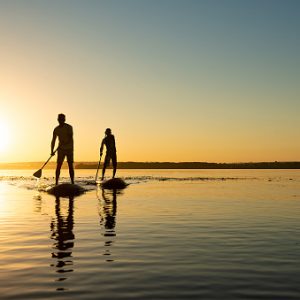 paddle surf