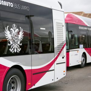 os autobuses urbanos serán gratuitos este 15 de agosto hasta las 15:00 horas con motivo de la festividad del Sagrario