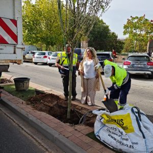 omienza la plantación de más de 90 árboles y 450 arbustos en la avenida de Europa con una inversión cercana a los 60.000 euros