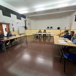 olicitan en el Consejo de Participación Centro la segunda fase de urbanización de la calle de San Pedro el Verde