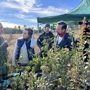 ás de 100 personas participan en la jornada de repoblación de Fuente del Moro organizada por el Ayuntamiento y ARBA