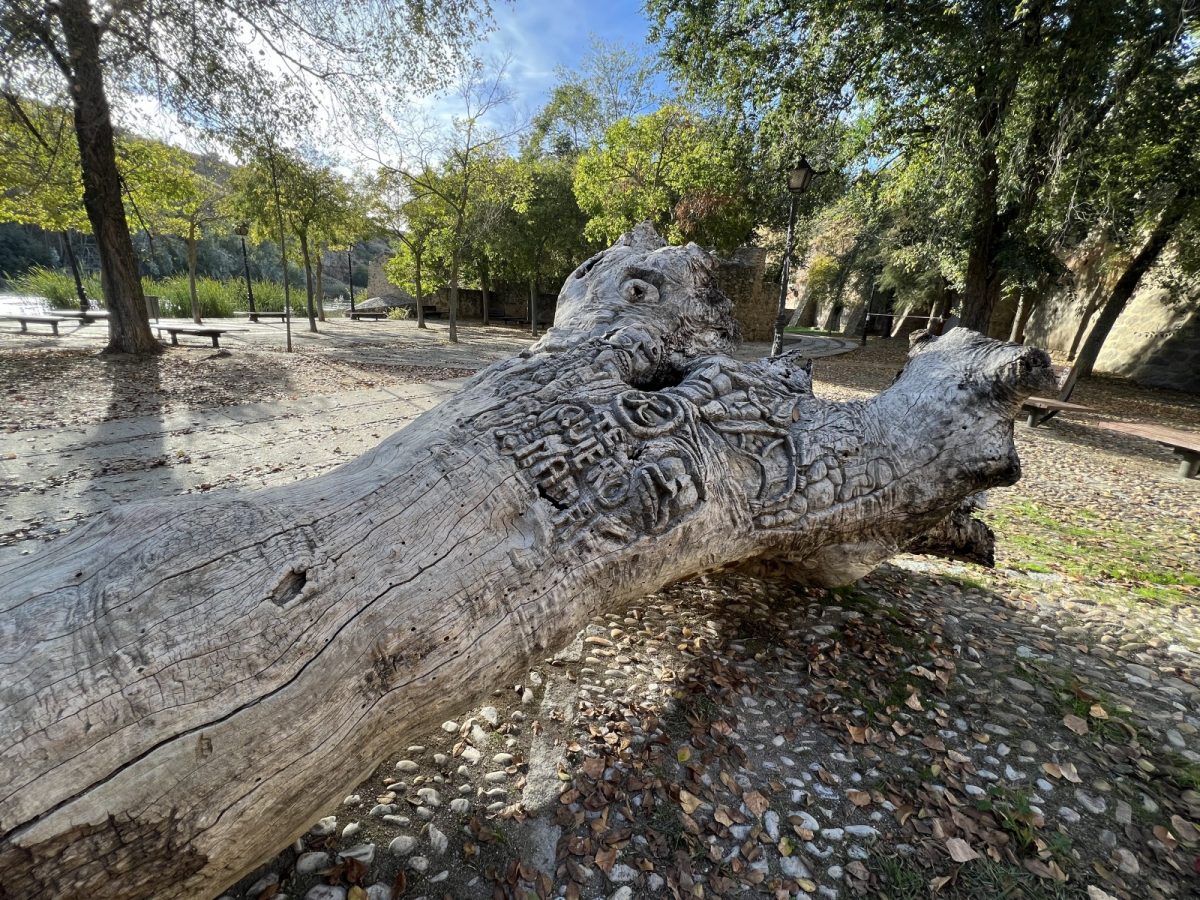 https://www.toledo.es/wp-content/uploads/2022/11/tronco-tallado-7-1200x900.jpg. El Ayuntamiento traslada a La Cornisa el “tronco tallado” de Safont para formar parte de la muestra de escultura al aire libre