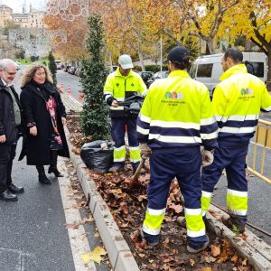 l Ayuntamiento impulsa en la avenida de la Reconquista un proyecto paisajístico con 25 laureles y 925 rosales sevillanos