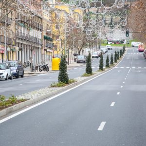 oncluida la renovación paisajística de la avenida de la Reconquista que tendrá continuidad en la avenida de Barber