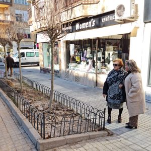 l Plan de Plantaciones llega a la calle Méjico en Santa Teresa con la renovación de 27 hibiscus en el paseo peatonal