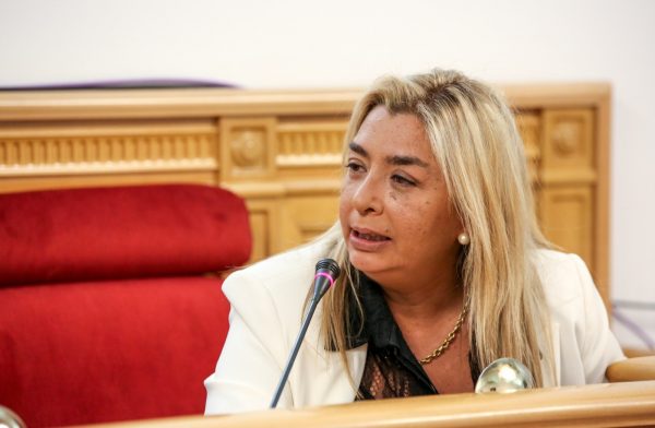 pleno_minicipal_9