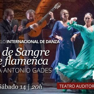 Teatro de Rojas. “Bodas de Sangre* y Suite Flamenca”